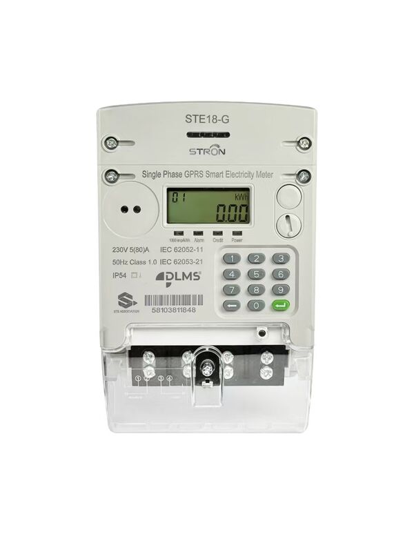 Wireless Plug-In Module STS Prepaid Meter für Südostasien: DLMS-Protokoll & automatisches Ausschalten und Fernbedienung