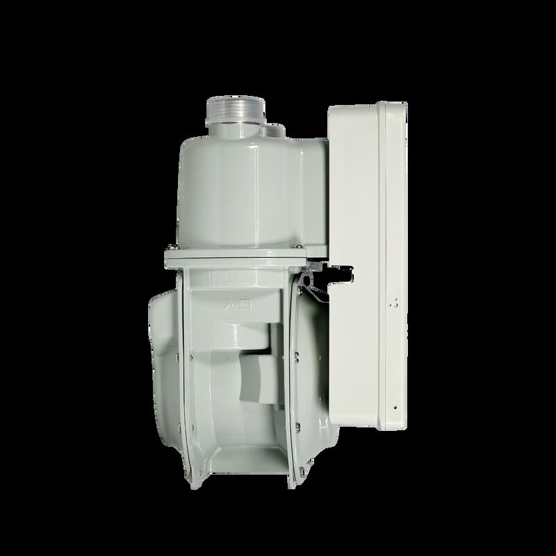 Intelligente digitale Gaszähler Energieeinsparende STS Prepaid LORAWAN G1.6/G2.5/G4.0 Vertikaler Gasflaschenzähler