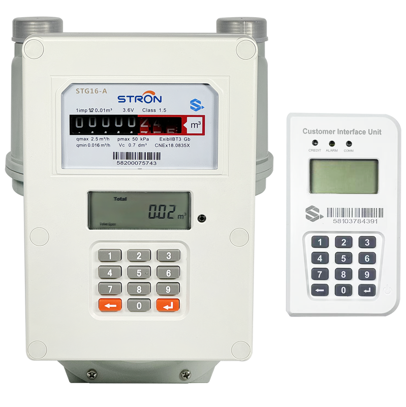 Smart Gas Meter digital meter providing continuous gas flow monitoring and integration with enterprise resource systems
