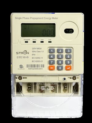 Smart Prepaid-Stromzähler zur Minimierung von Energiediebstahl und Gewährleistung fairer Abrechnungspraktiken für Versorger