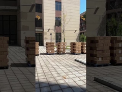 Einphasenelektrische Zähler gegen Manipulation für das industrielle Energiemanagement