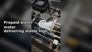 Reduzieren Sie die Betriebskosten mit unseren langlebigen High-Tech-Wasserzählern